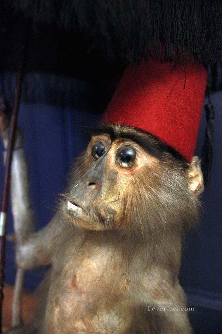 petit singe avec chapeau rouge Peintures à l'huile